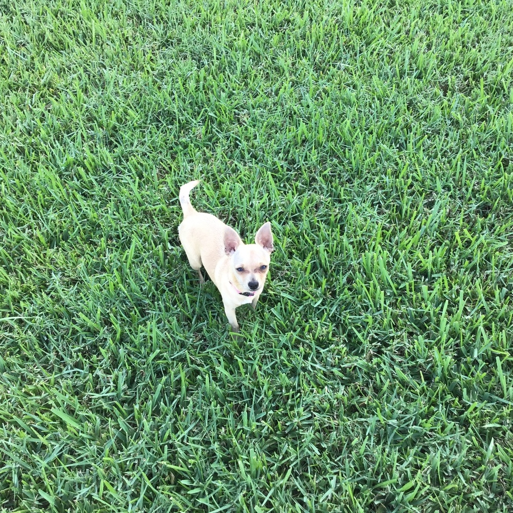 Meet your Posher, Posh